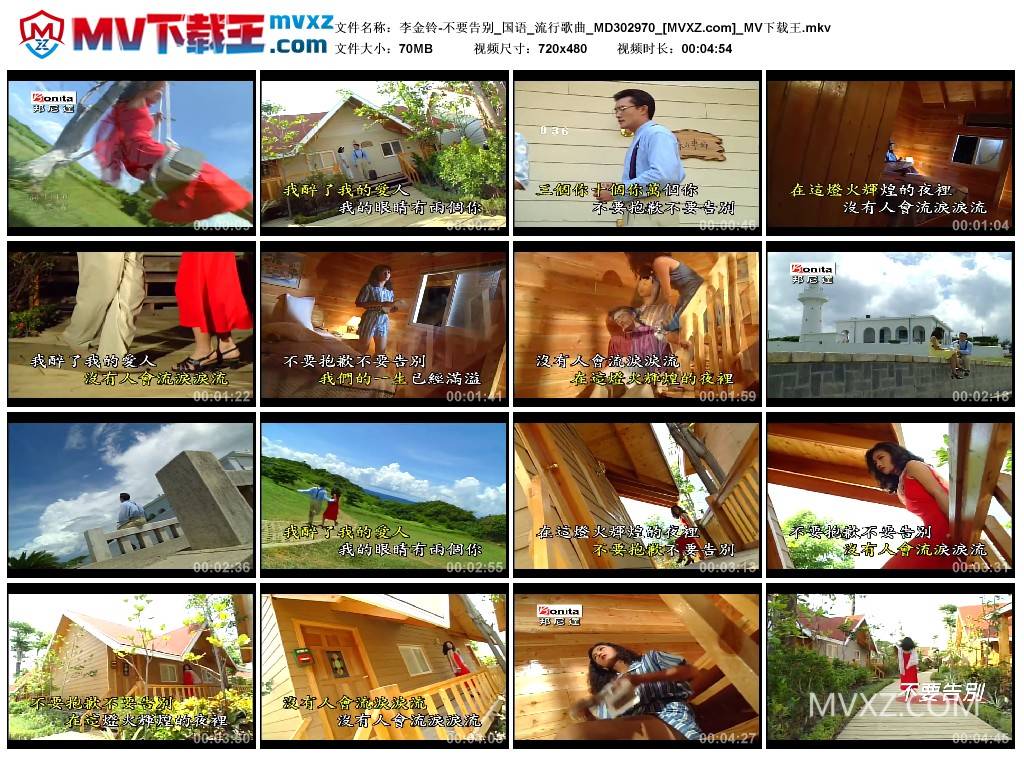 李金铃-不要告别_国语_流行歌曲_MD302970